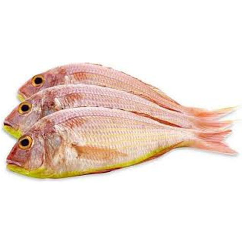 مرجان السلطان