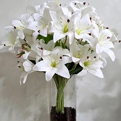 عود لليم ابيض صناعى