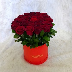 بوكس ورد احمر